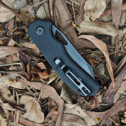 D2 Steel Pocket Folding Knife, 3.14" Black Blade, G10 Handle with Liner Lock, Thumb Hole, E028